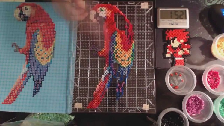 Perler Beads Parrot Timelapse