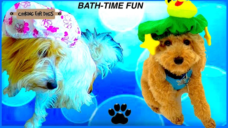 BATH TIME FOR TWO DOGS - DIY Dog Wash & Dry by Cooking For Dogs