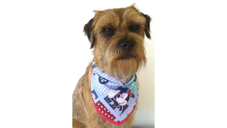 DIY dog bandana slip through collar design FREE PATTERN with Lisa Pay