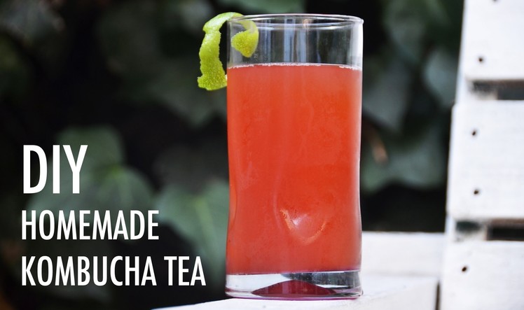 DIY Homemade Kombucha Tea Recipe