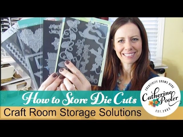Storage Solutions for Die cutting with Catherine Pooler