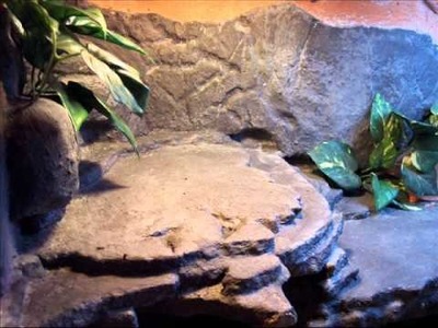 Bearded dragon home DIY vivarium terrarium (part1 and 2)