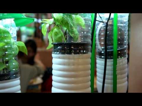 Vertical Gardening Ideas - Build Your Indoor Garden DIY Project with using Plastic Bottles