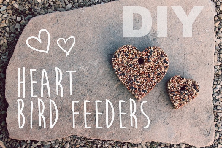 DIY Heart Bird Feeder