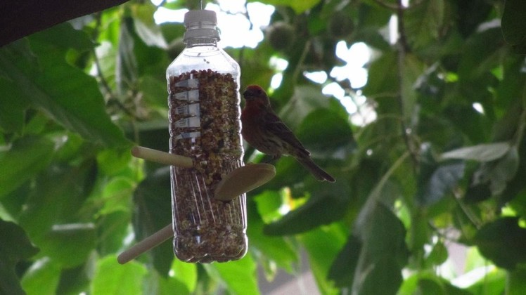 How to Make a Homemade Bird Feeder from Water Bottles - Child Crafting with Bain