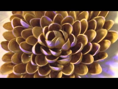 DIY Pinterest Craft: Pistachio Flower
