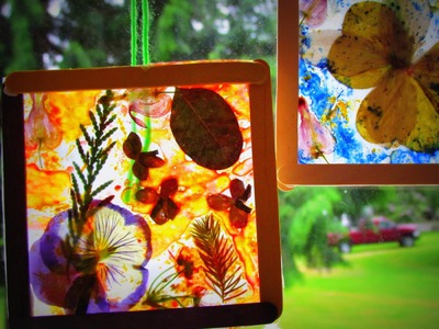 DIY Stained Glass Craft Dried Flowers Leaves Crayon Shavings DIY Suncatcher