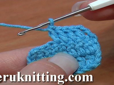 How to Double Crochet Crochet Basics Tutorial 6