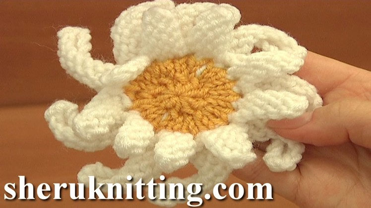 How to Knit a Double Layered Daisy Flower Tutorial 16 Knitting Flower Patterns