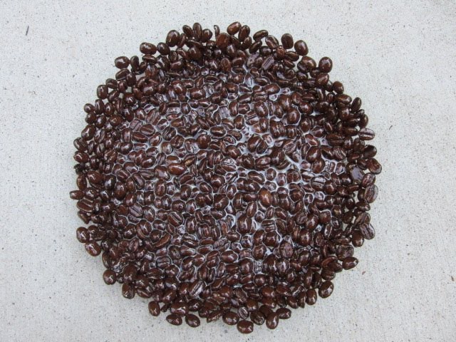 How to Make a Decorative Platter Out of Coffee Beans Craft Tutorial Make Something Monday