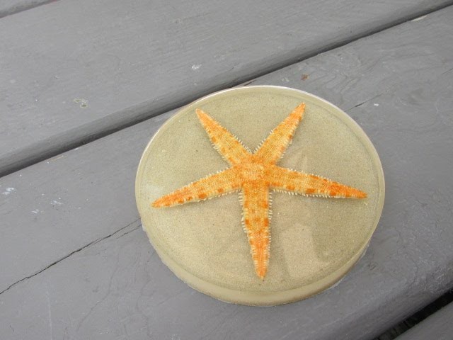 How to Make a Starfish Beach Coaster Craft Tutorial   Another Coaster Friday