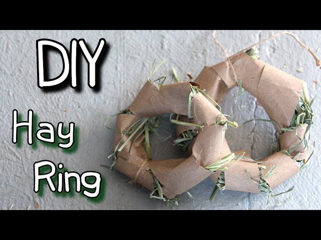 How to Make Homemade Rabbit Toy Hay Ring  DIY Tutorial