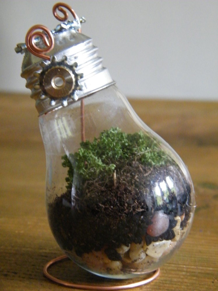Marieke Elizabeth Design DIY Tutorial: Recycling Old Light Bulbs to Create Beautiful Mini Terrariums