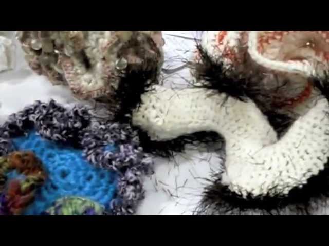 Sydney Hyperbolic Crochet Coral Reef - The Sneak Peek!!