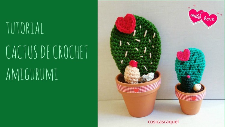 Tutorial Cactus de Crochet Amigurumi