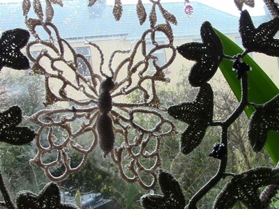 A butterfly Crochet Suncatcher