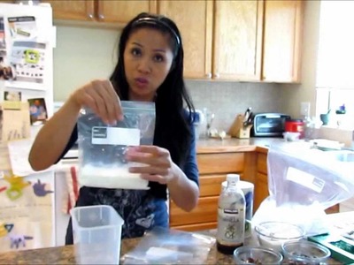 How To Make Homemade Ice Cream In a Plastic Bag Science Experiment!