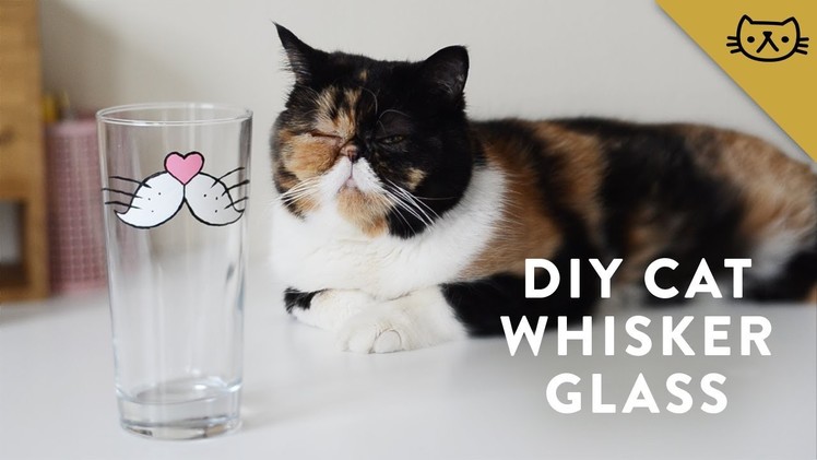 DIY Painted Cat Whisker Glass with Pudge