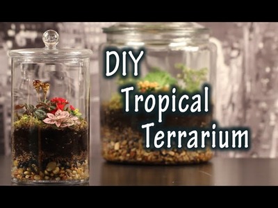 DIY Tutorial On How To Make A Terrarium For Plants In A Jar