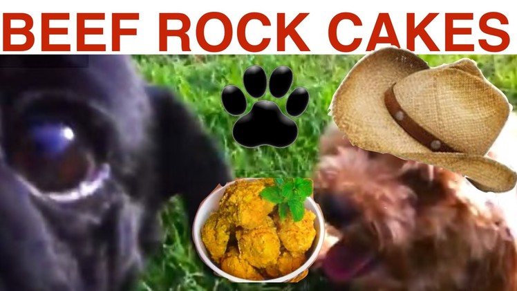 DOG Beef Cakes - easy DIY Dog Food - a tutorial by Cooking For Dogs