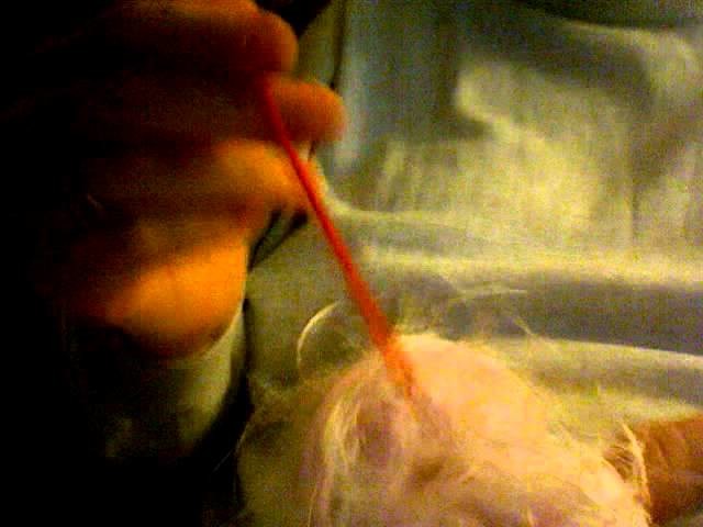 Loom Knit Kitty Head video #31.  Clip contrast yarn