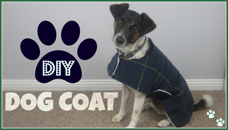 {Step by Step Sewing} DIY Dog Coat
