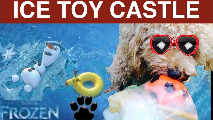 FROZEN ICE DOG TOY CASTLE - DIY Dog Food.Treat - a tutorial by Cooking For Dogs