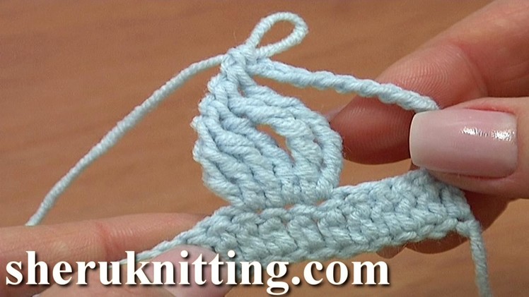 Crochet Complex Stitch Made Of Tall Stitches Tutorial 19 Crochet Basics For Beginners
