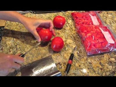 DIY How Do You Freeze Tomatoes STEP BY STEP INSTRUCTIONS Tutorial