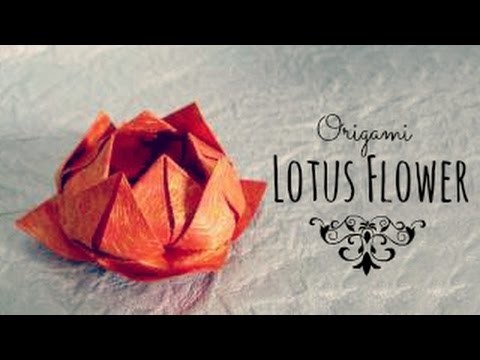 Origami Lotus flower instructions