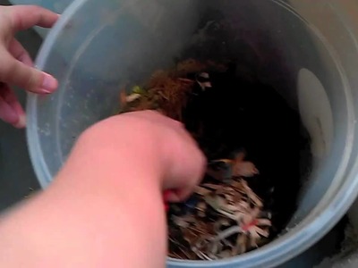 Using Our DIY Apartment Compost Bin