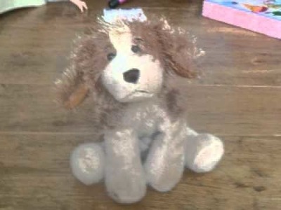 Webkinz Family Scrapbook