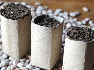 Cardboard Seed Starting Pots DIY GardenFork.TV