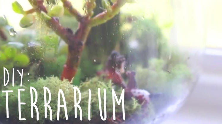 ♡DIY Room Decor :: Terrarium♡