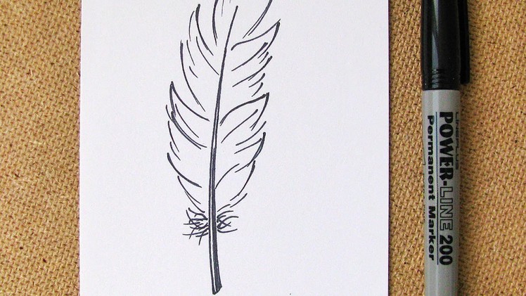 Draw an Easy Feather - DIY Crafts - Guidecentral