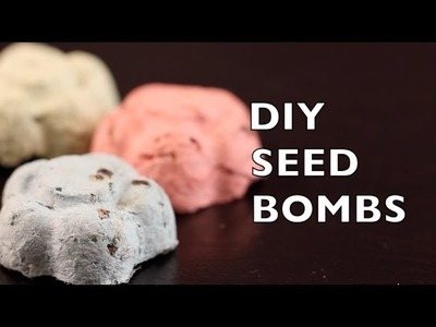 How To Make Seed Bombs | Seed Balls | Craft Idea DIY