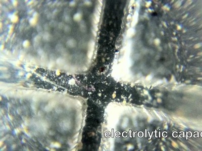 DIY Macro with CD-ROM Drive Lens and iPhone 4 (HD)