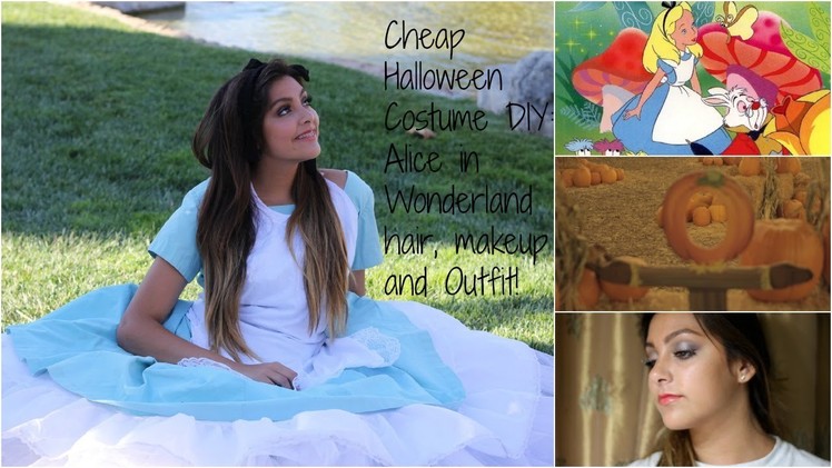 Cheap Halloween Costume DIY: Alice in Wonderland Hair, Make-up and Outfit!