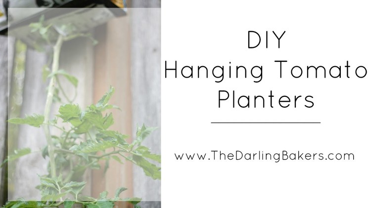 Gardening Tutorial | Spring Craft Collab  | DIY Upside Down Hanging Tomato Planters