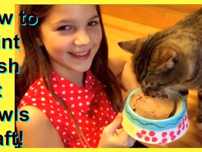 DIY Pet Projects Dog and Cat Bowls Craft | Paint Personalized Posh Pet Bowls