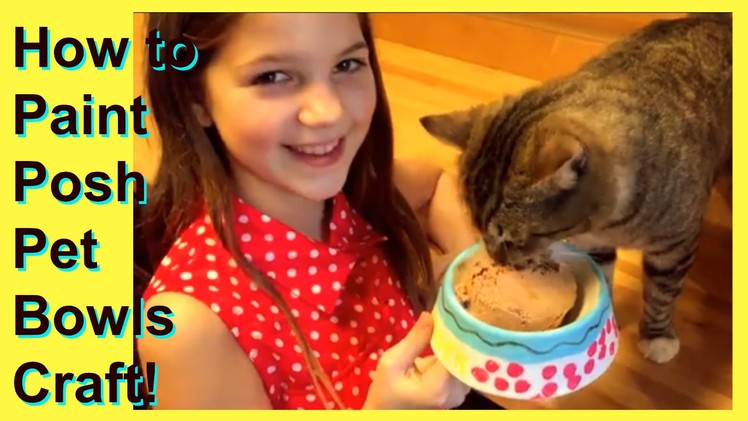 DIY Pet Projects Dog and Cat Bowls Craft | Paint Personalized Posh Pet Bowls