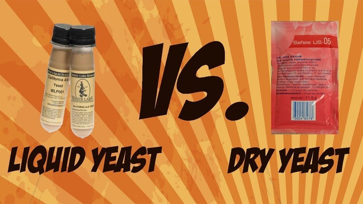 Dry Brewing Yeast vs. Liquid Brewing Yeast | Beer Geek Nation Craft Beer Reviews