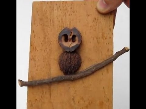 How to make a Simple Owl Craft