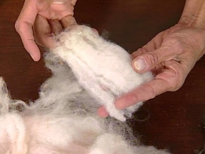 Knitting Daily TV Episode 804's How To, Care for your Fiber, Sponsored by Unicorn Fibre
