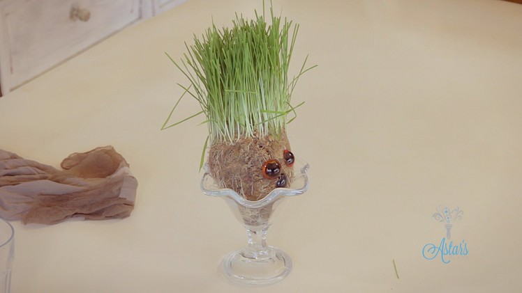 Arts & Crafts Tutorial: How to Make a Wheatgrass Head