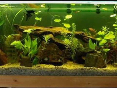 DIY aquarium decor ideas