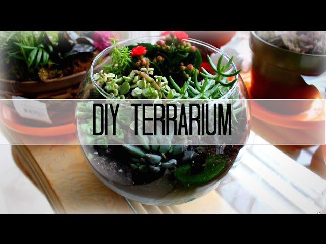 DIY Terrarium Tutorial