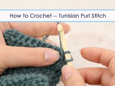 How to Crochet - Tunisian Purl Stitch