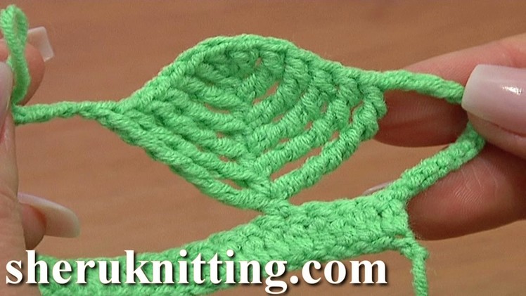 Complex Crochet Stitch Leaf Shape Tutorial 23 Part 1 of 2 Tall Stitches