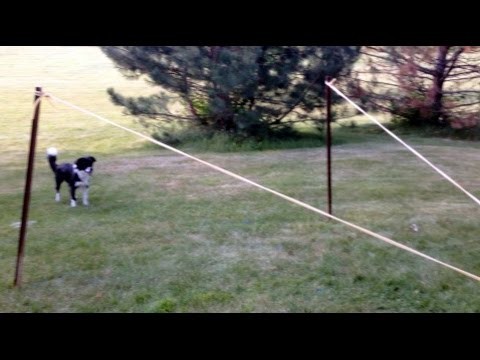 Extreme Launcher - Fetch a Pup, Launch a Water Balloon - Fetchinator 6000! How To - DIY
